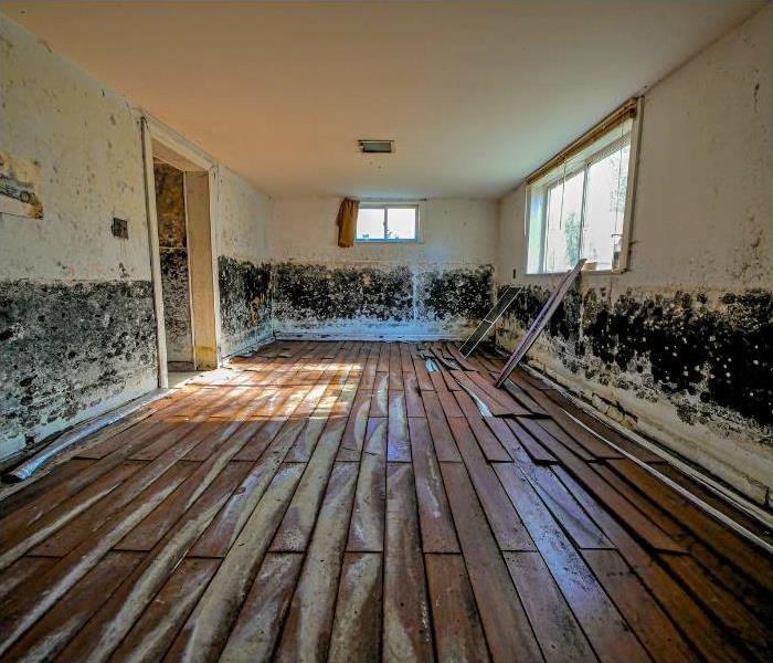 A room with black mold on all its walls.